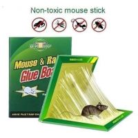 Pack of 3 Expert Catch Mouse Glue Traps 